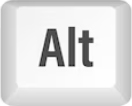 ALT button